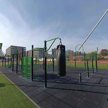 Great Forest View Penthouse