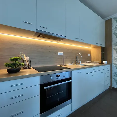 Great Forest View Penthouse * Debreţin