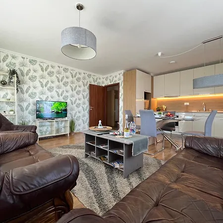Great Forest View Penthouse Apartment
